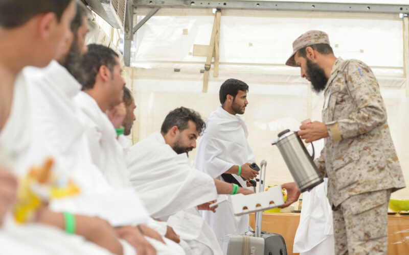 hajj 2025 statistics